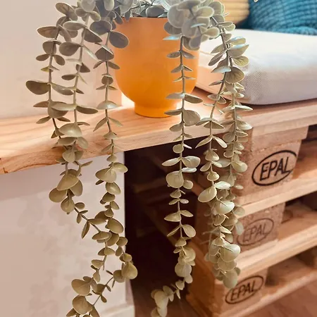 Estrela Da Mascarenhas