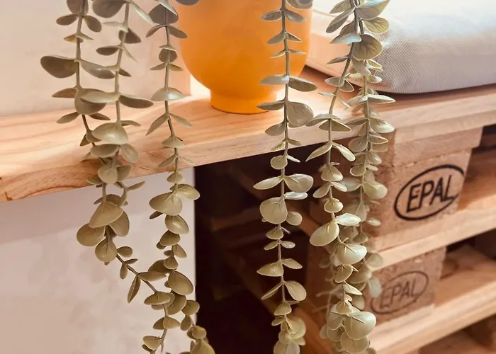 Estrela Da Mascarenhas